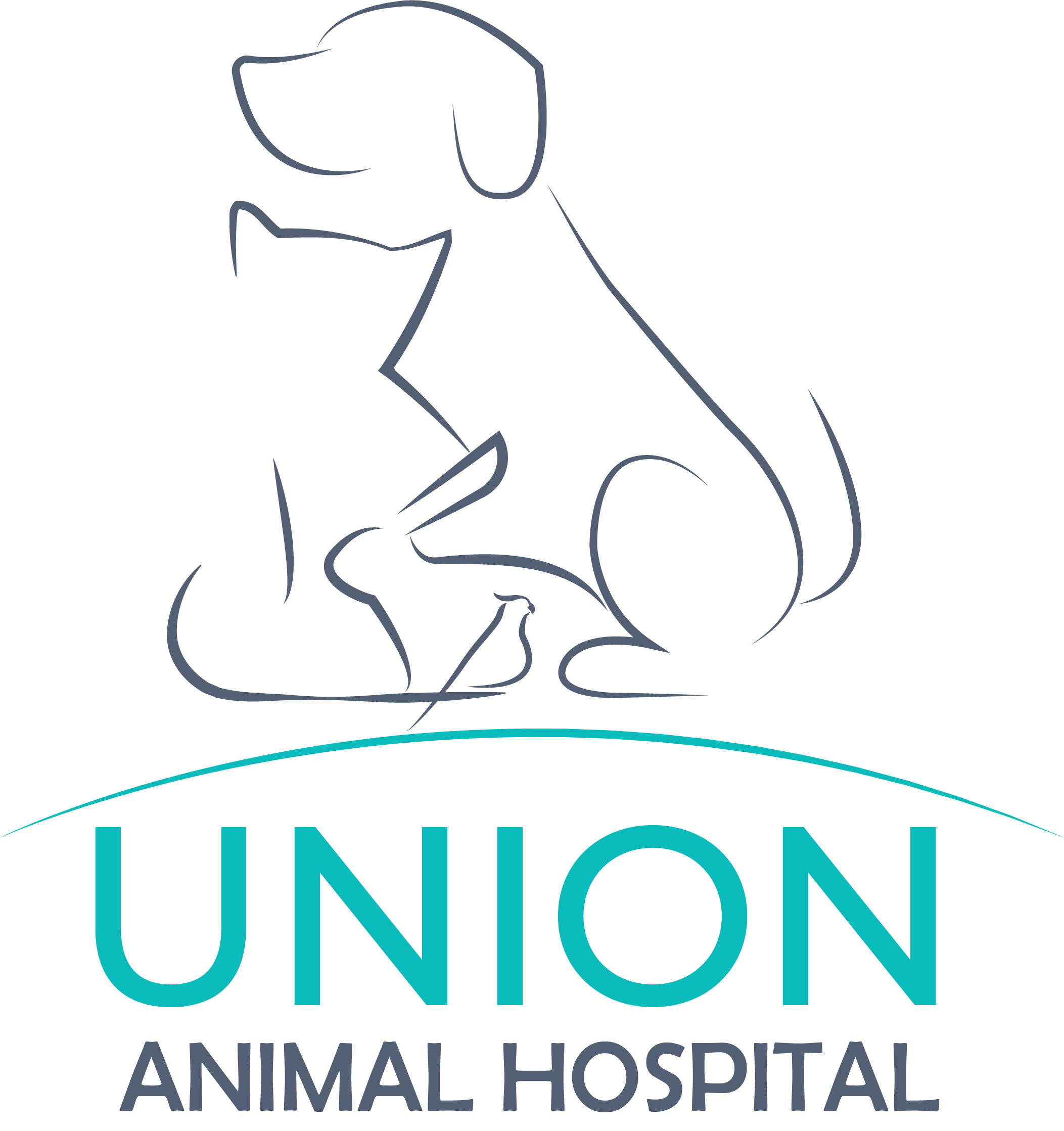 Vet Care Doesn't Have to Break the Bank; Pet Insurance | Veterinarian in  Spokane, WA | Union Animal Hospital